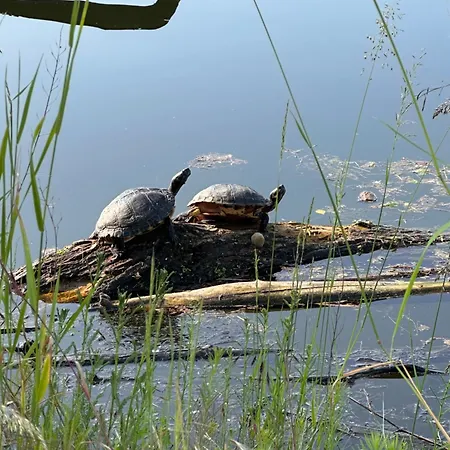 Hafenperle * Wiesbaden