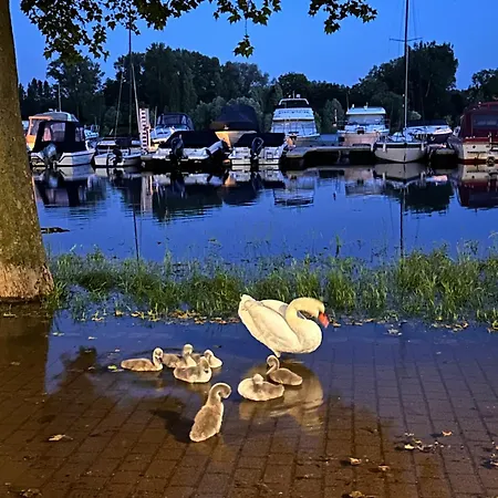 Semesterbostad Hafenperle