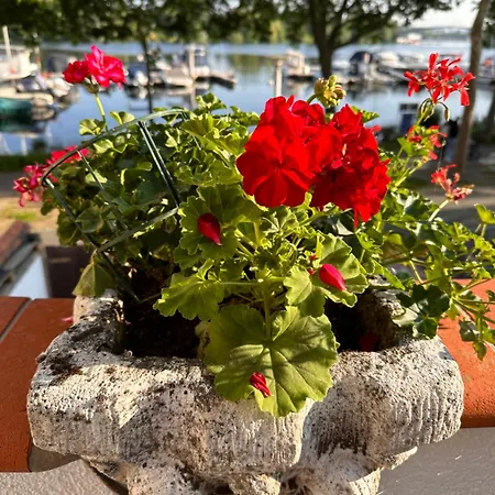 Holiday home Hafenperle Wiesbaden