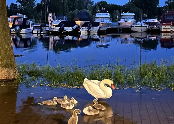 Holiday home Hafenperle