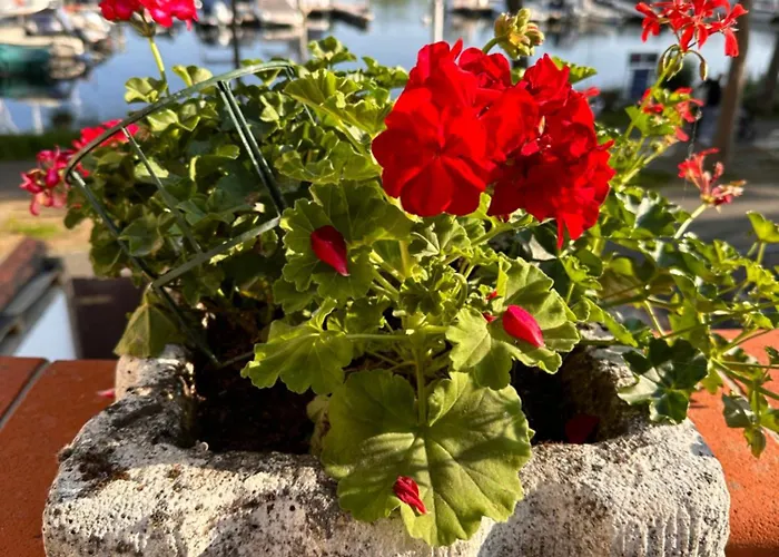 Holiday home Hafenperle Wiesbaden